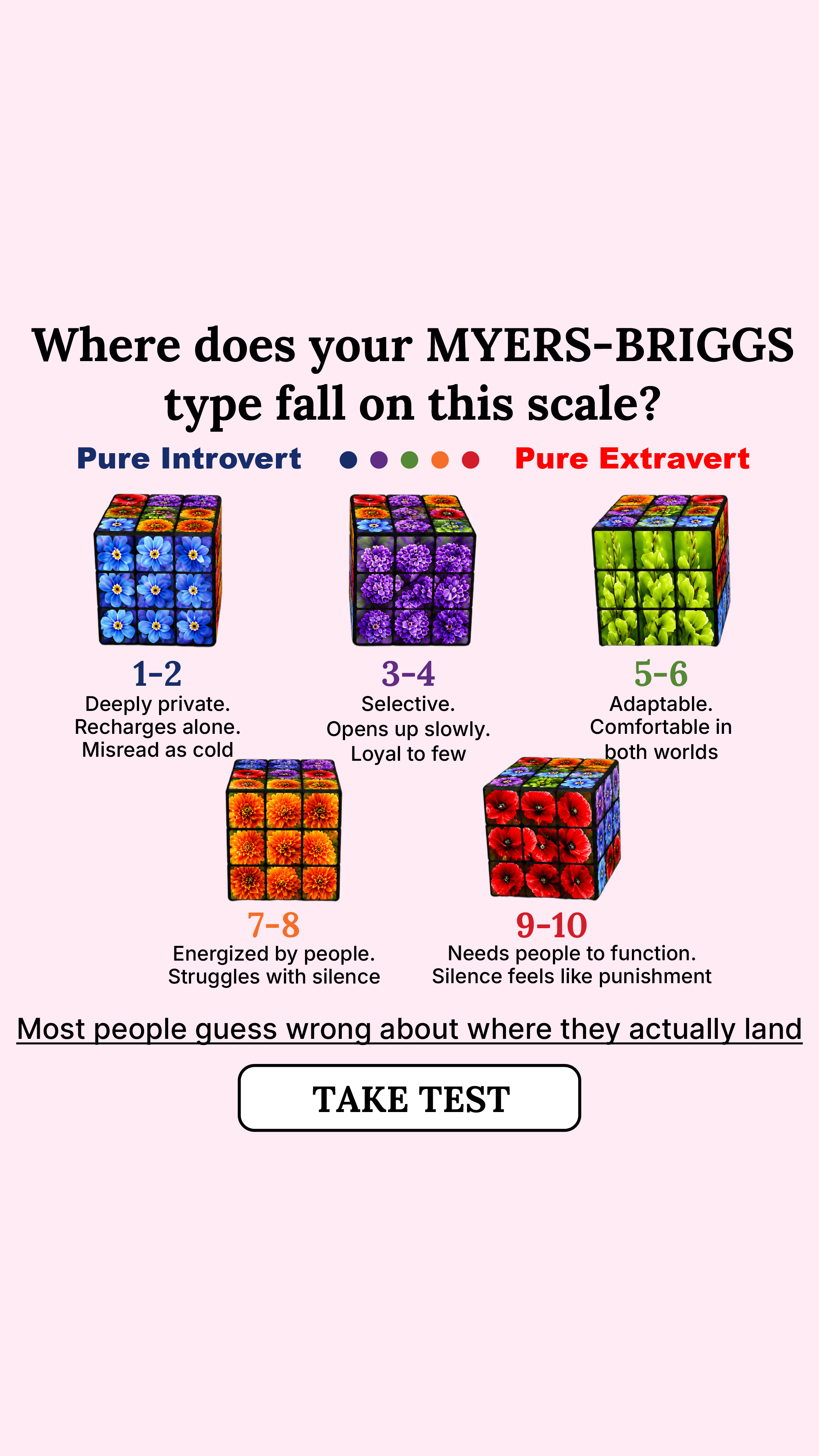 Personality Type Facebook ad