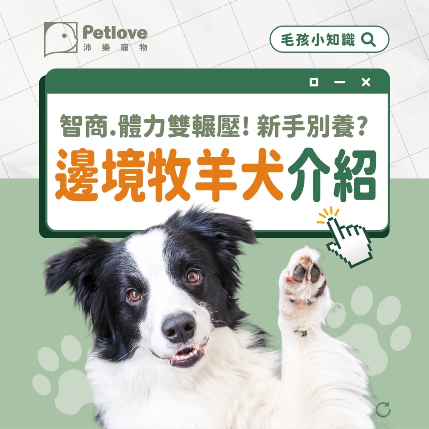 Petlove沛樂寵物 Facebook ad