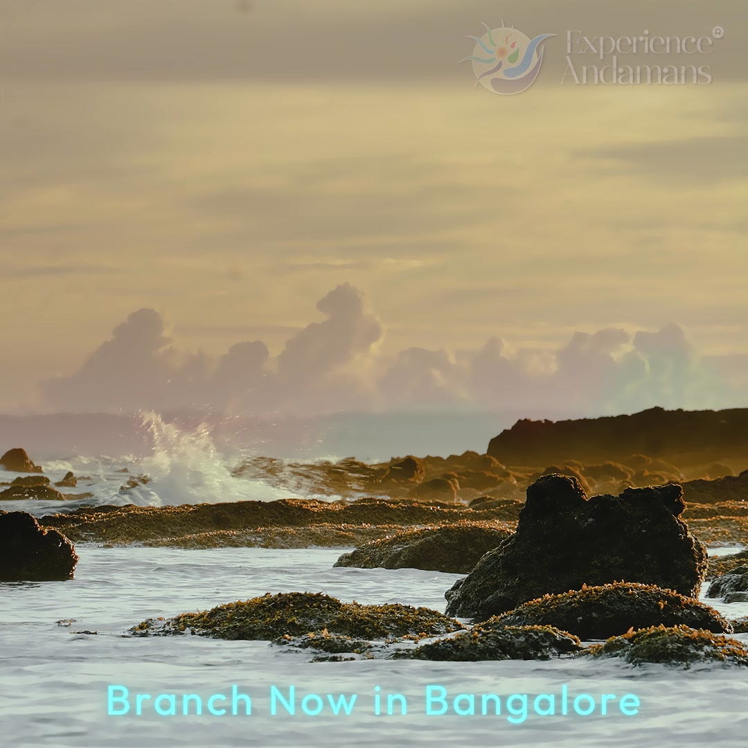 Experience Andamans Facebook ad: Plan Your Andaman Trip from Kolkata