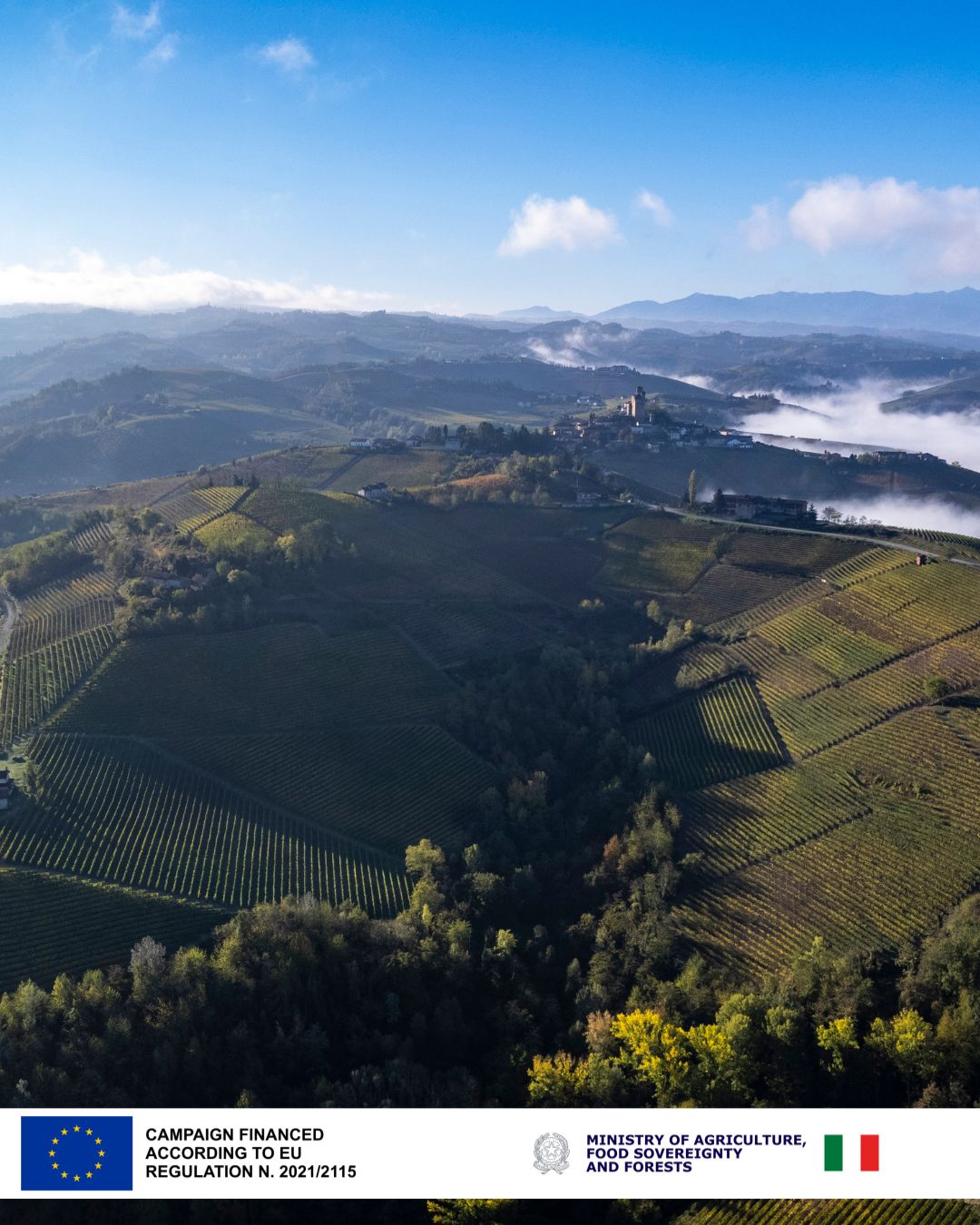 Fregonese Vini Facebook ad: Le Langhe infrangono ogni regola che la bellezza…
