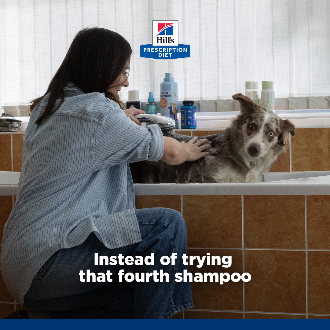 Hill’s Pet Nutrition Facebook ad from Oct 1, 2026