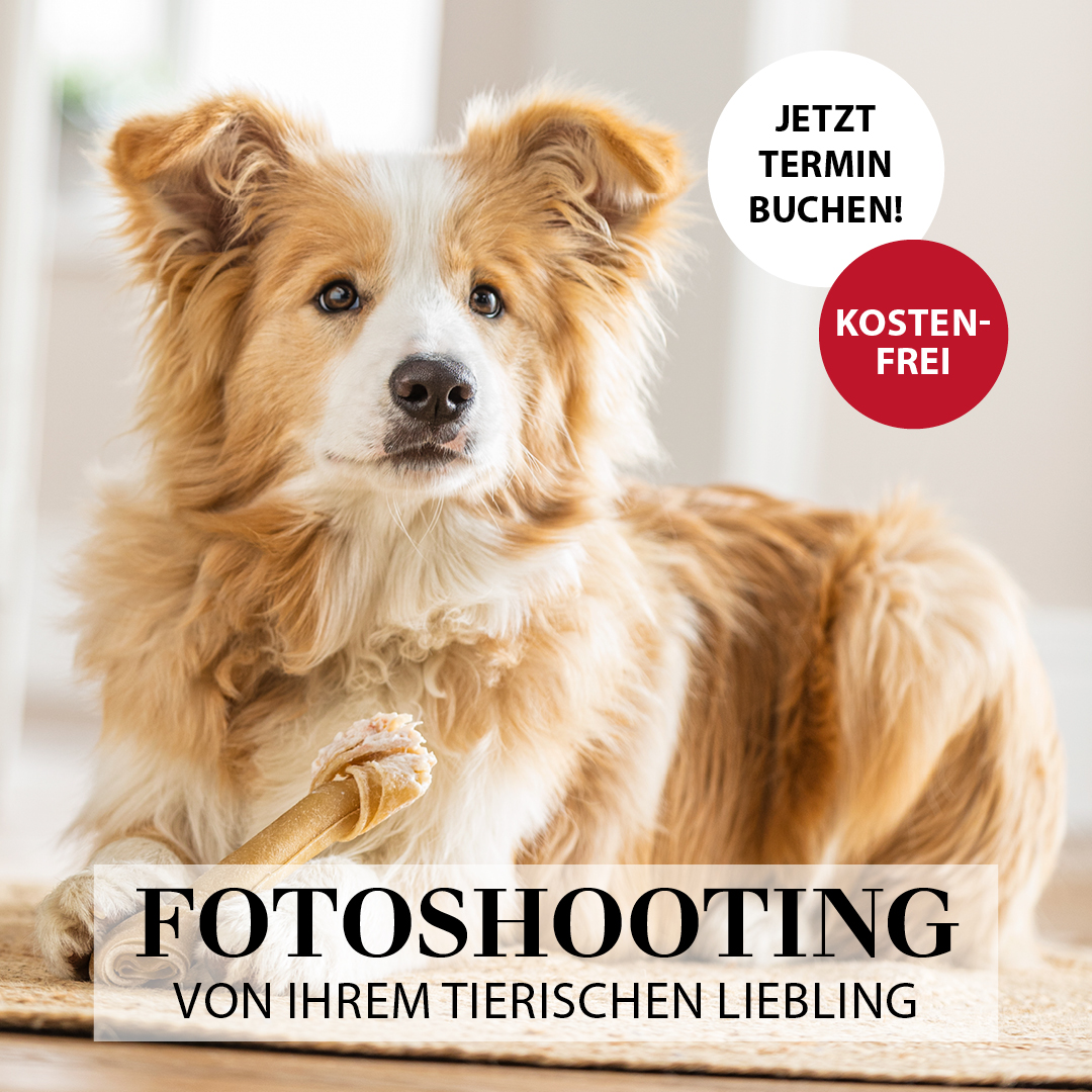 Dehner Facebook ad