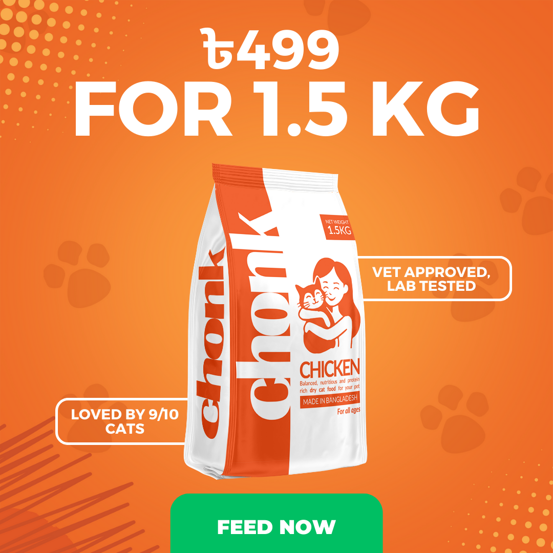 Chonk Facebook ad: Save up to 40% on cat food