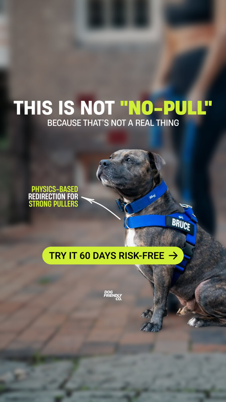 Dog Friendly Co. Facebook ad