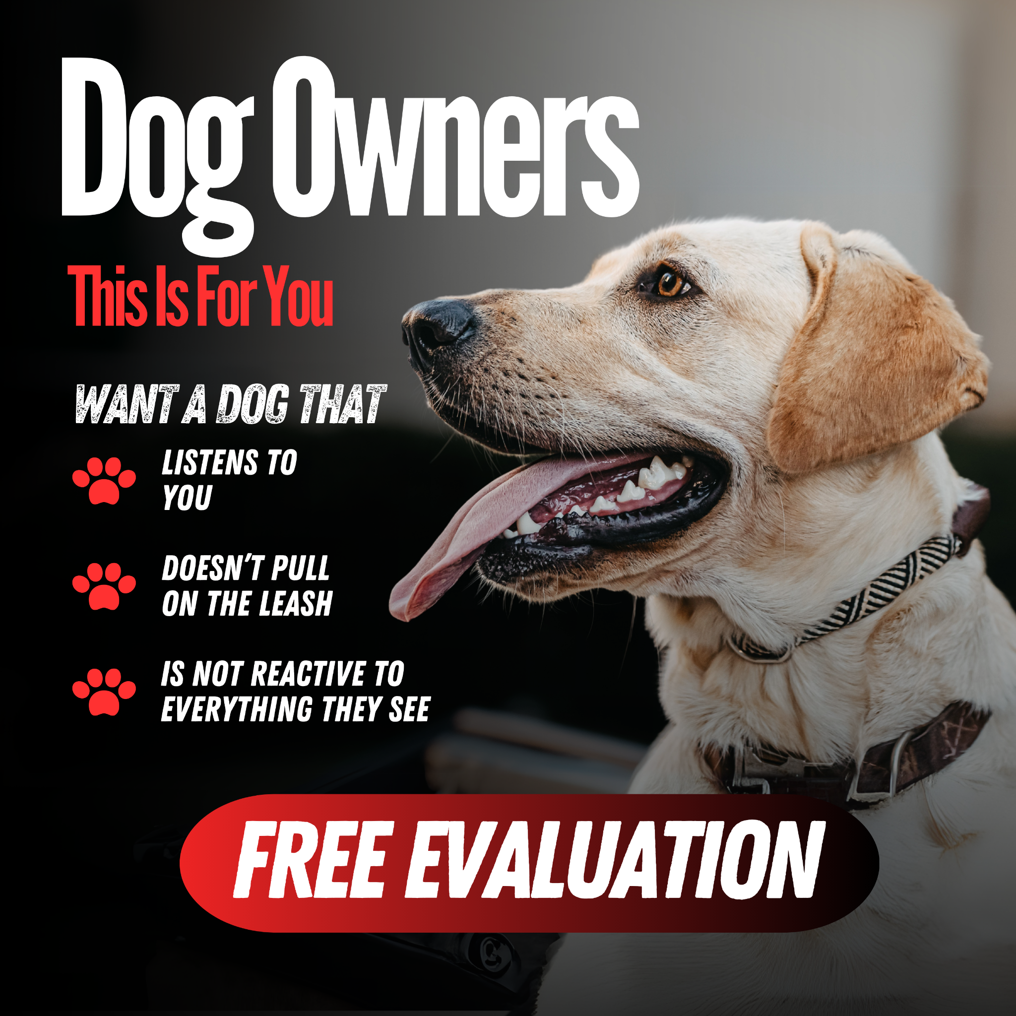 Next-Door K9 Solutions Facebook ad