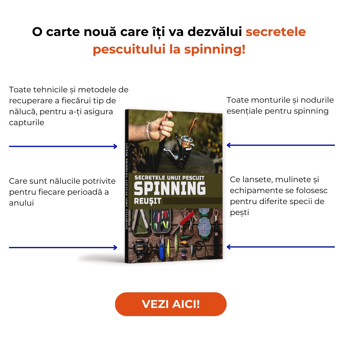 Secretele unui pescuit spinning reușit Facebook ad