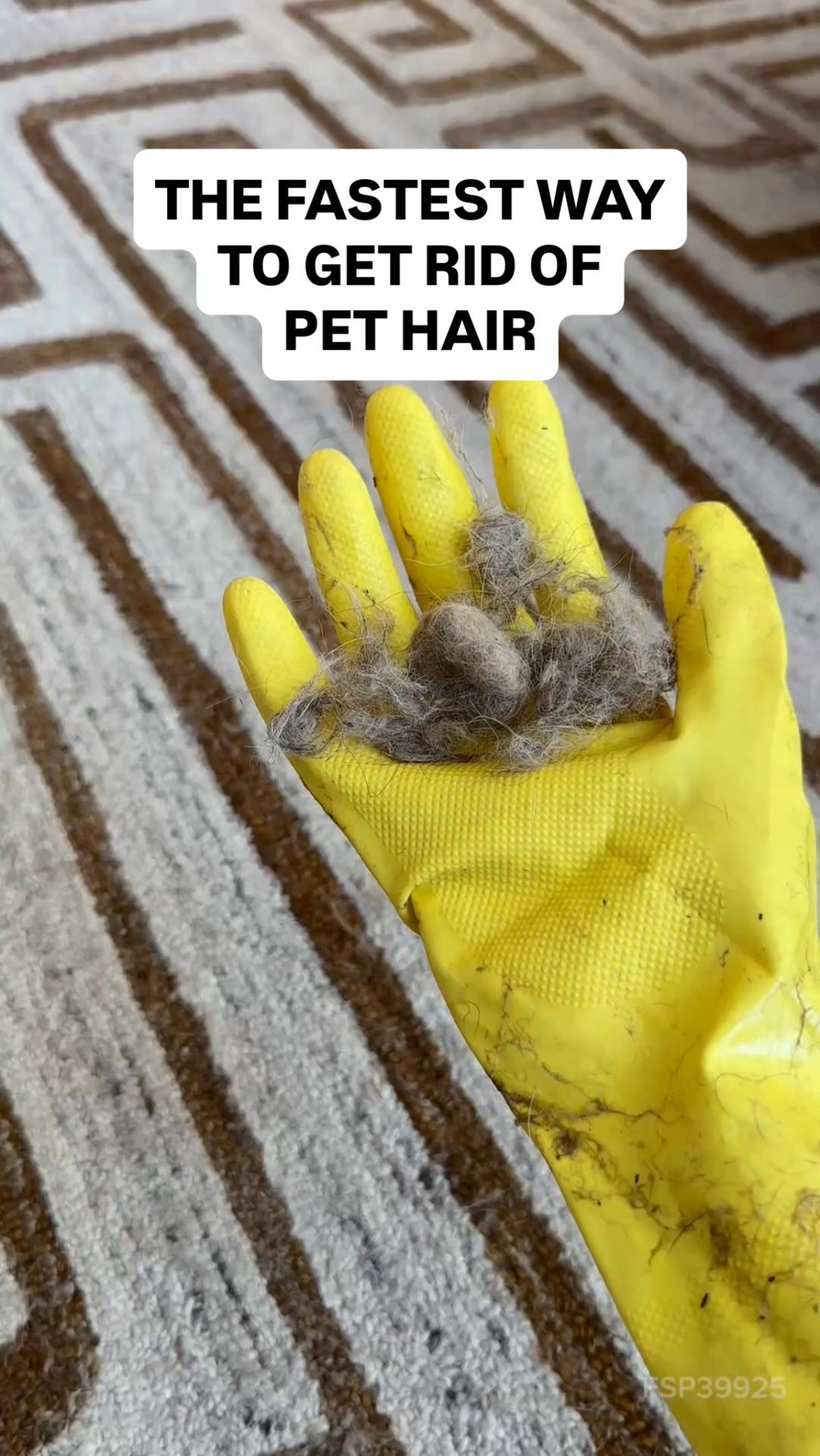 dotsure.co.za Pet Insurance Facebook ad: The fastest way to get rid of pet…