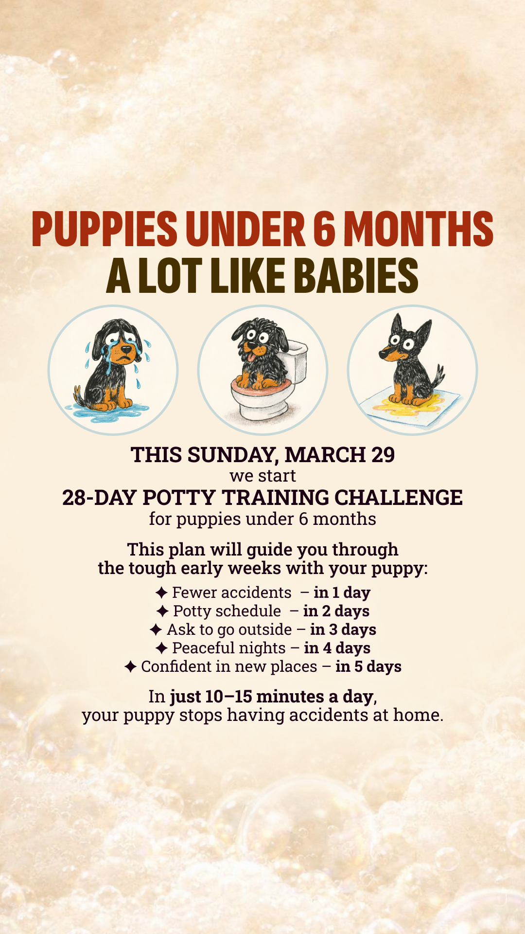 Woofz - Puppy Training Facebook ad