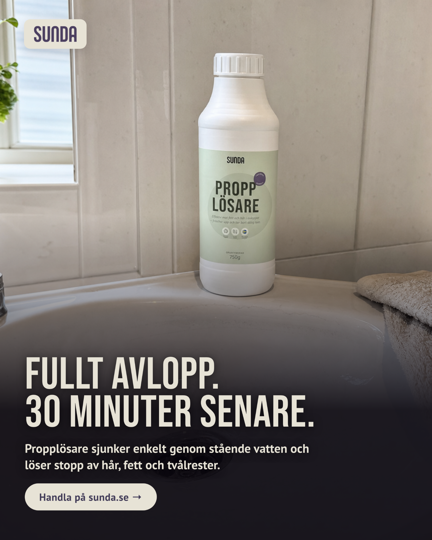 Sunda Facebook ad