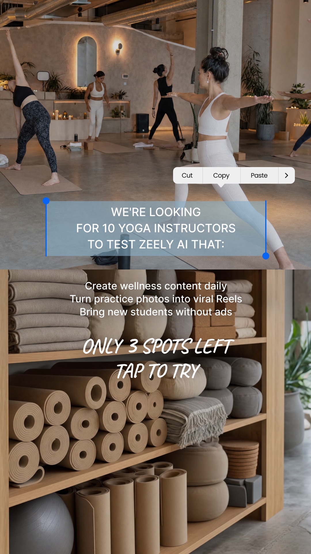 Zeely Facebook ad