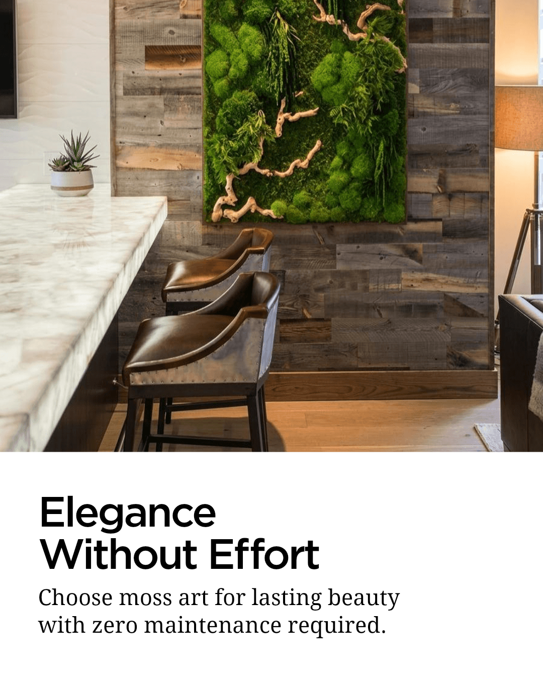 Artisan Moss Facebook ad: Transform your space with moss art