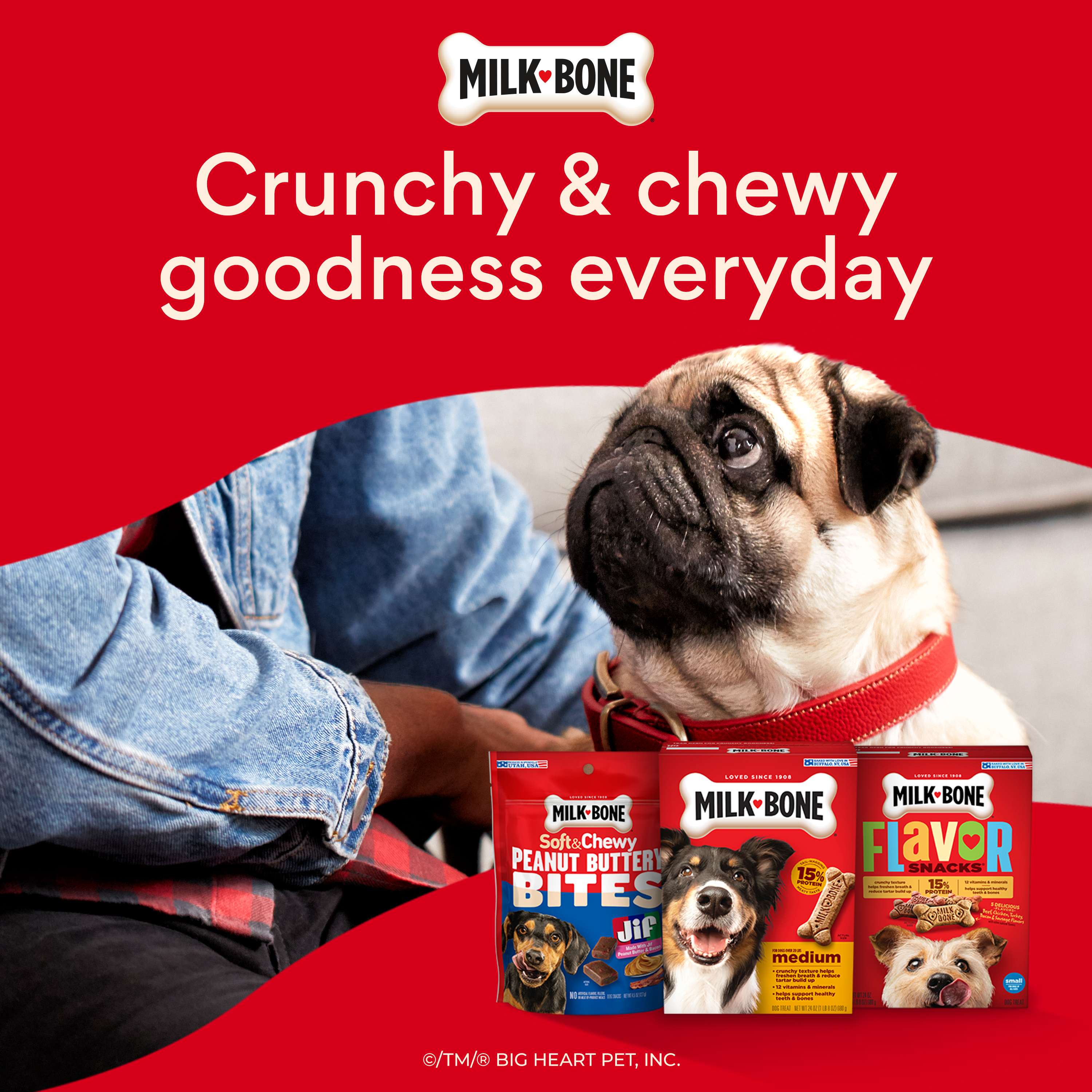 Chewy Facebook ad