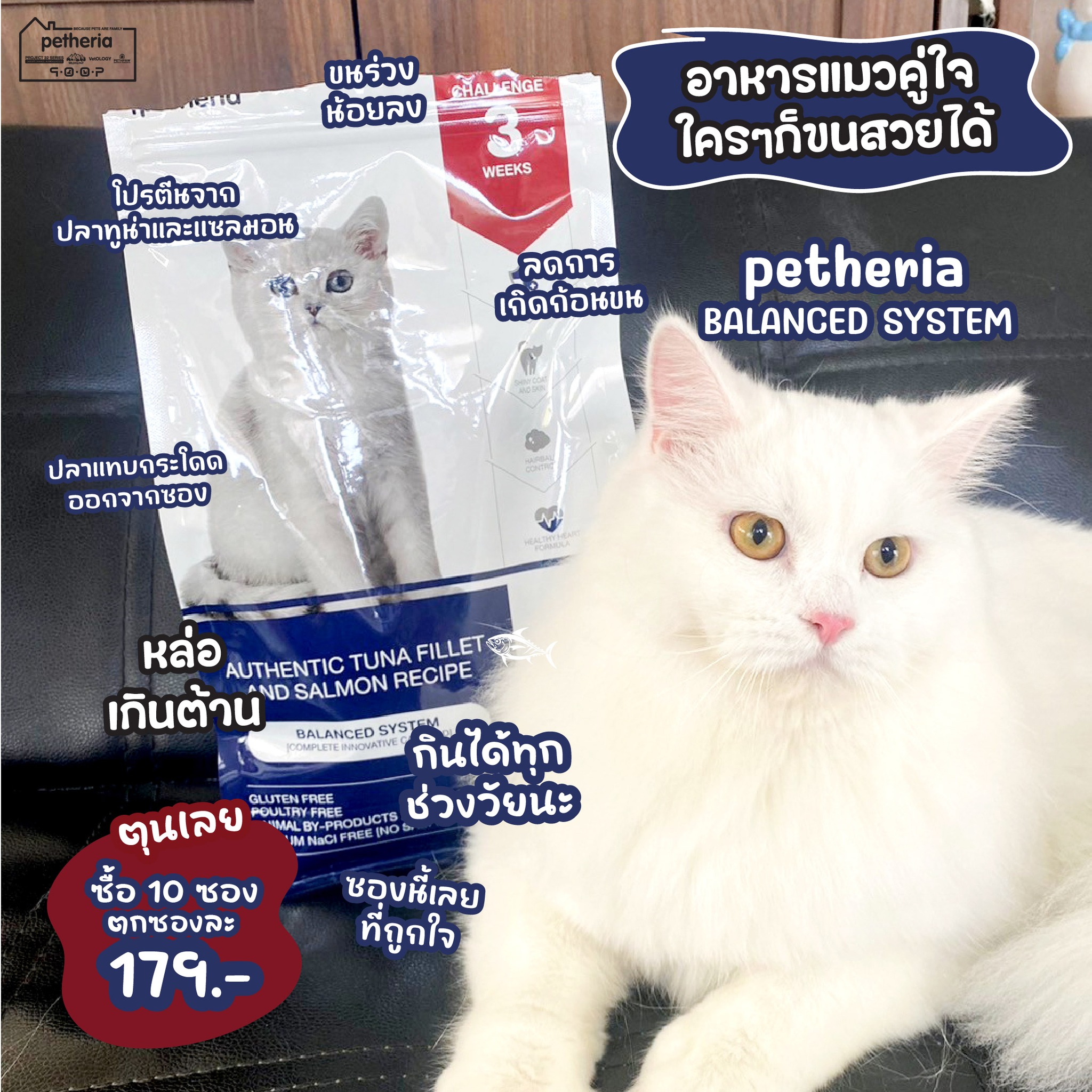 Petheria Facebook ad