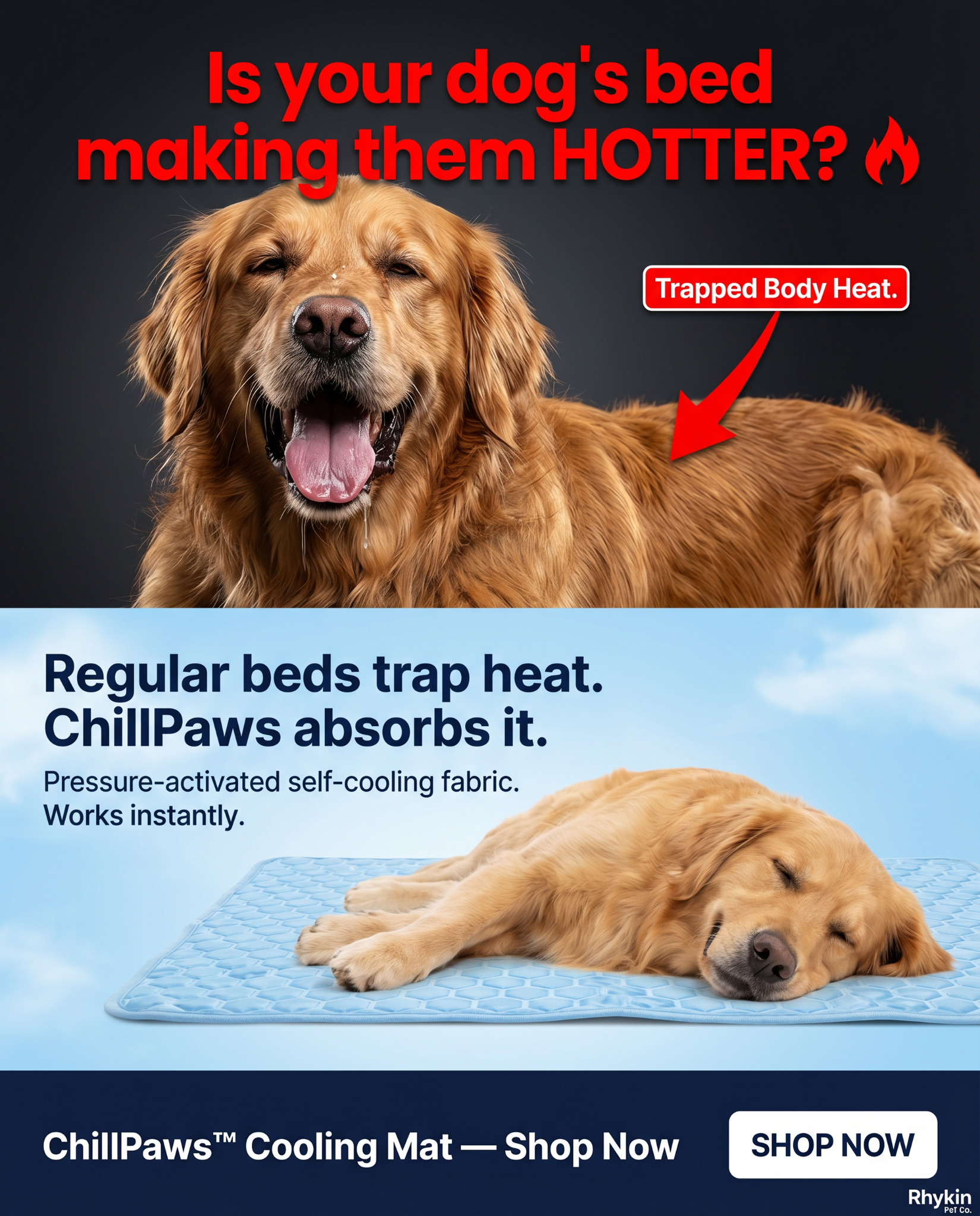 Rhykin Pet Co Facebook ad