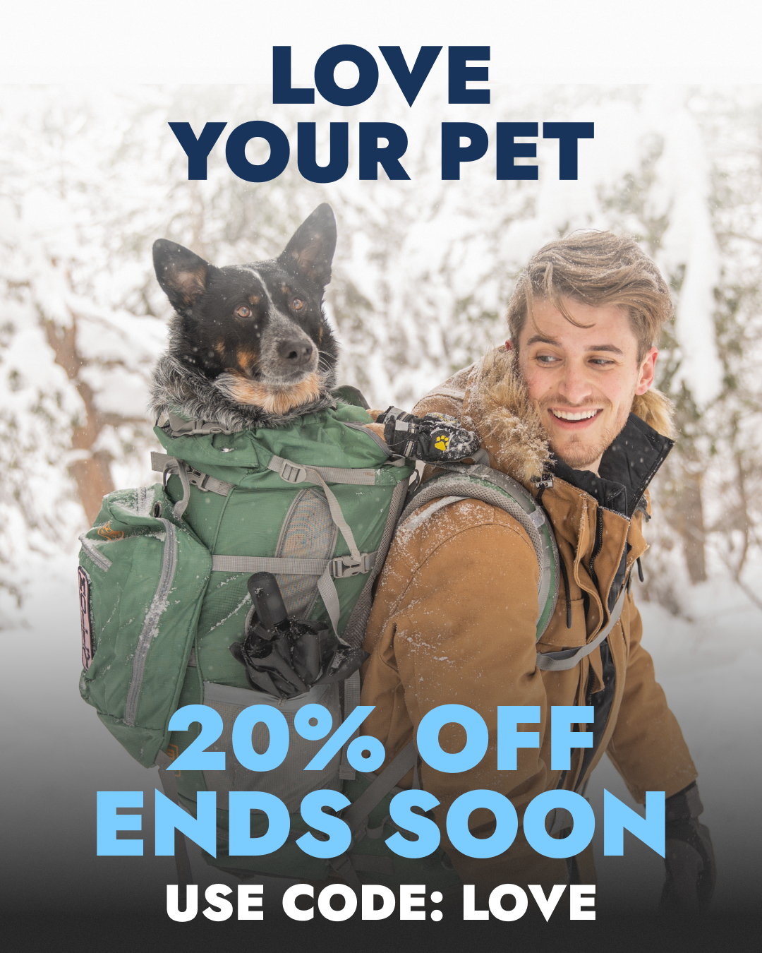K9 Sport Sack Facebook ad from Feb 20, 2026