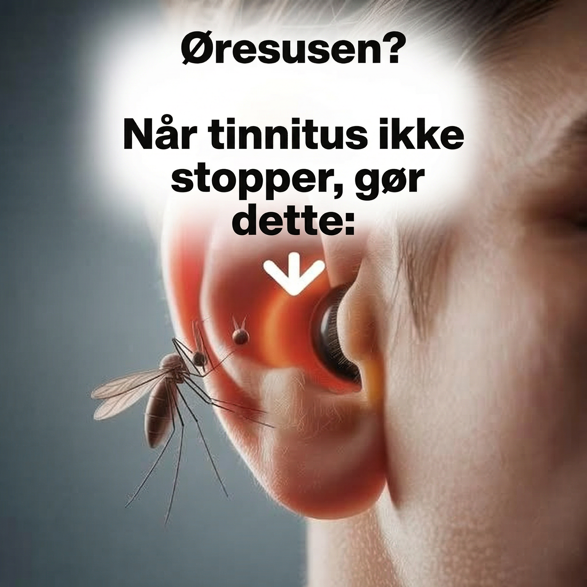 Beautite Shop Facebook ad: Hvis du har lidt af tinnitus i måneder eller år, så læs…