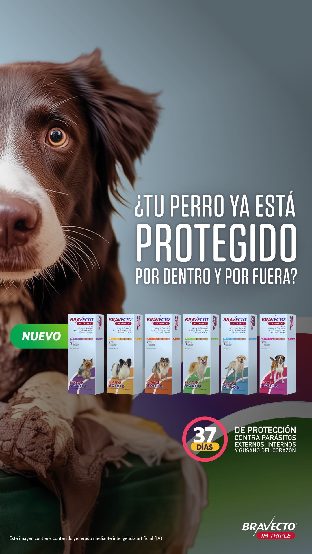 Bravecto LATAM Facebook ad