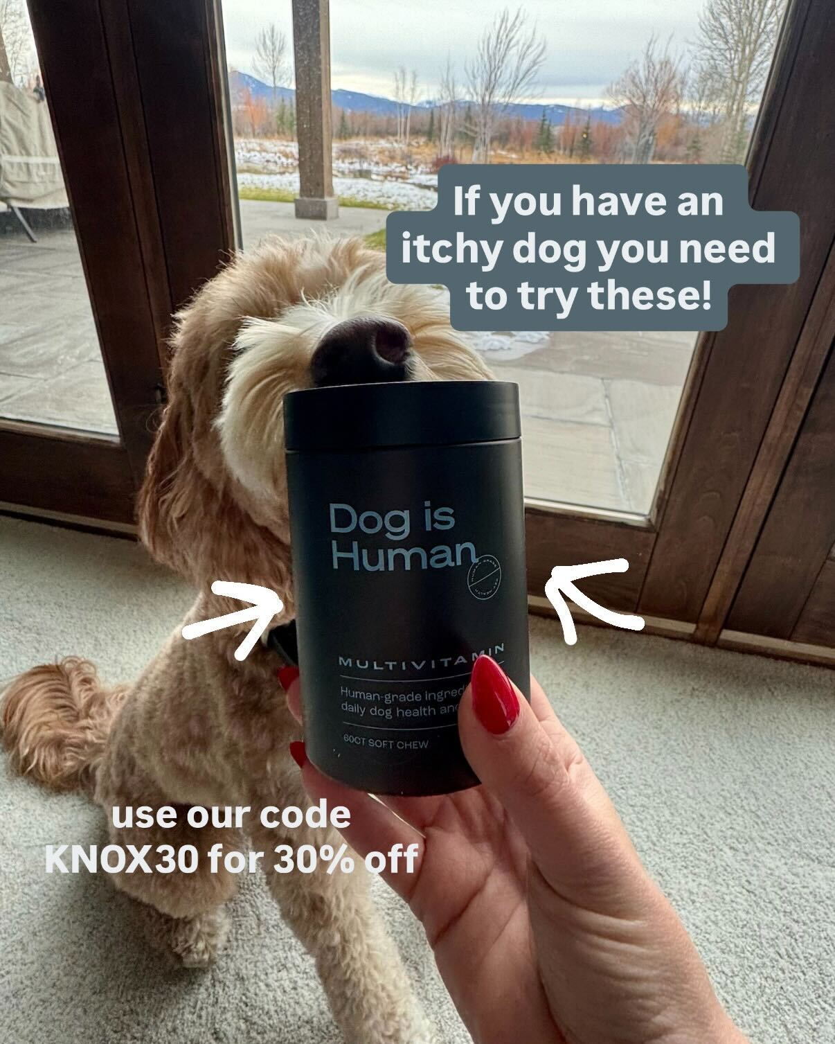 The Wise Vet Facebook ad