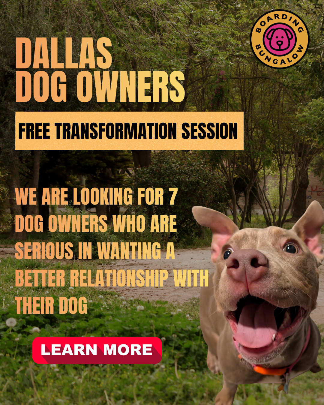 The Boarding Bungalow Facebook ad: FREE Transformation Session
