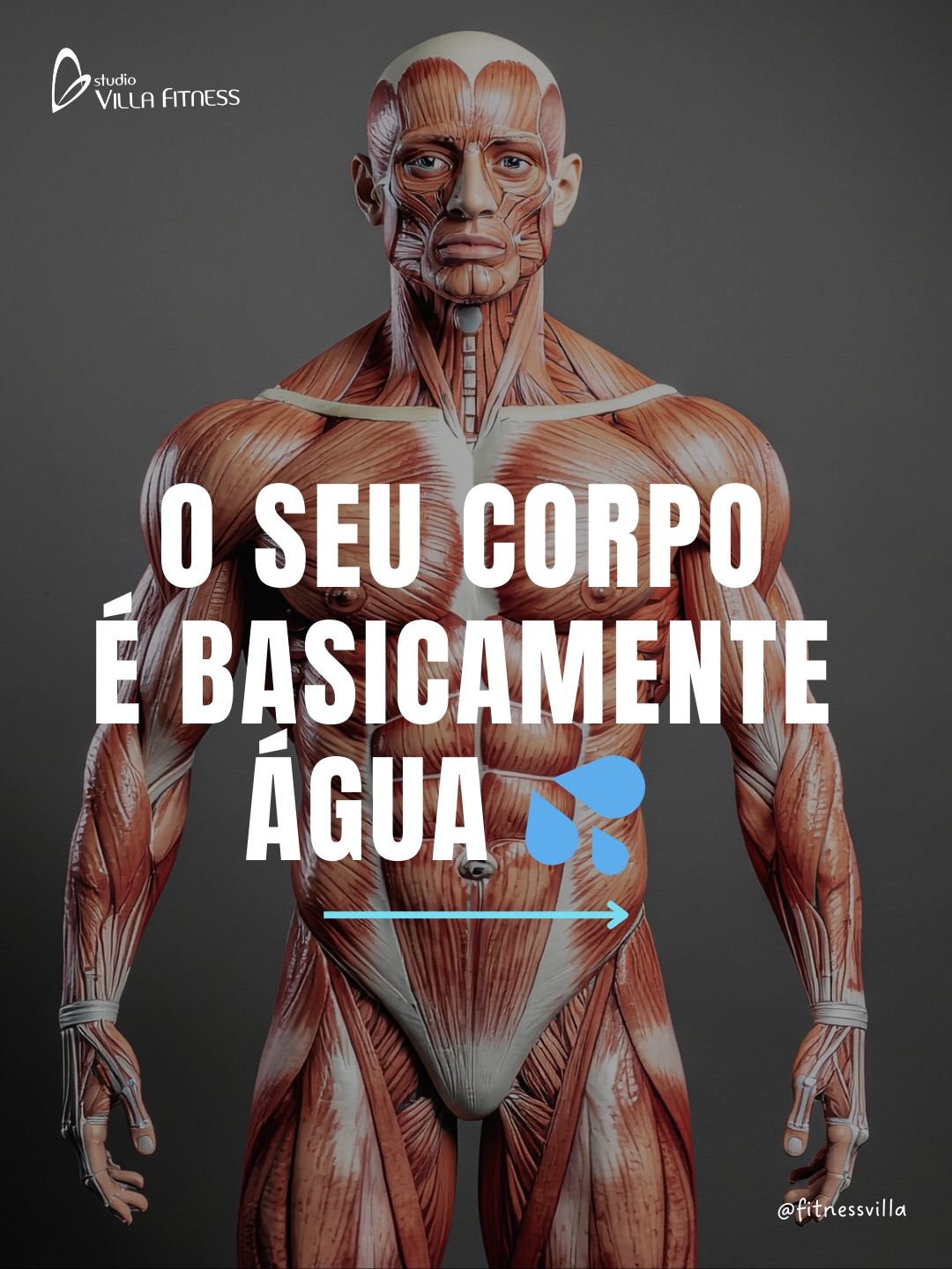 Studio Villa Fitness Facebook ad: Água não é detalhe: músculos, fígado, rins e…