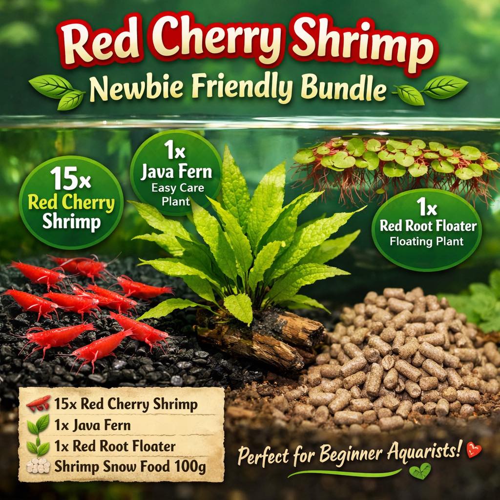 Micro Aquatic Shop Facebook ad: BEGINNER’S GUIDE TO KEEPING SHRIMP