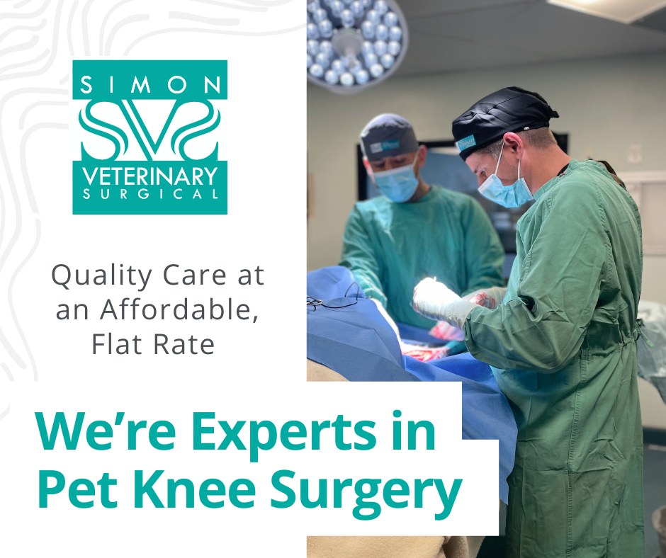 Simon Veterinary Surgical Facebook ad