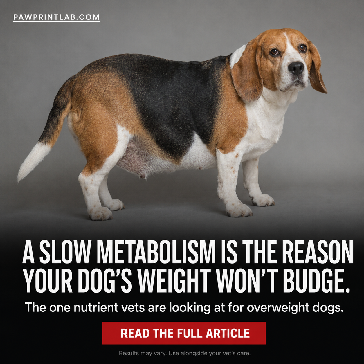 Vet-Approved Pet Products Facebook ad