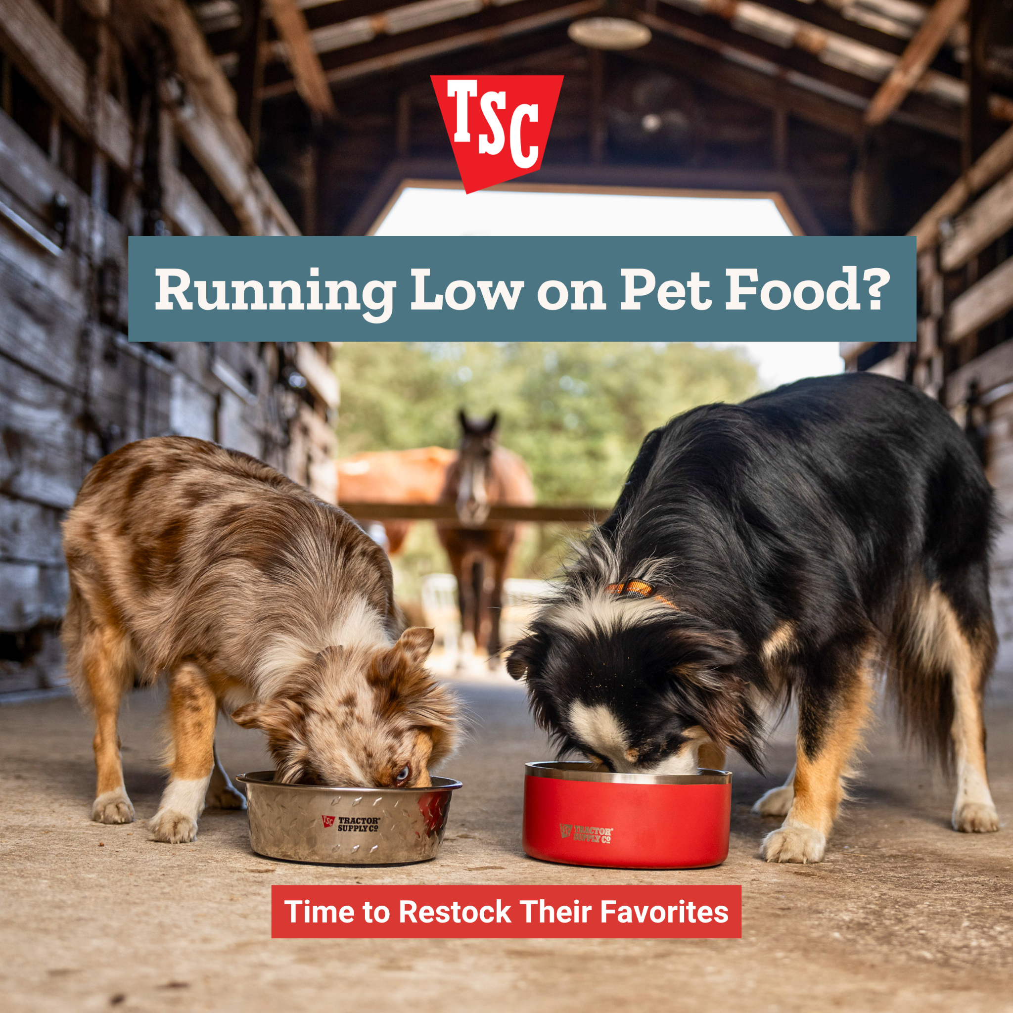 Tractor Supply Co. Facebook ad