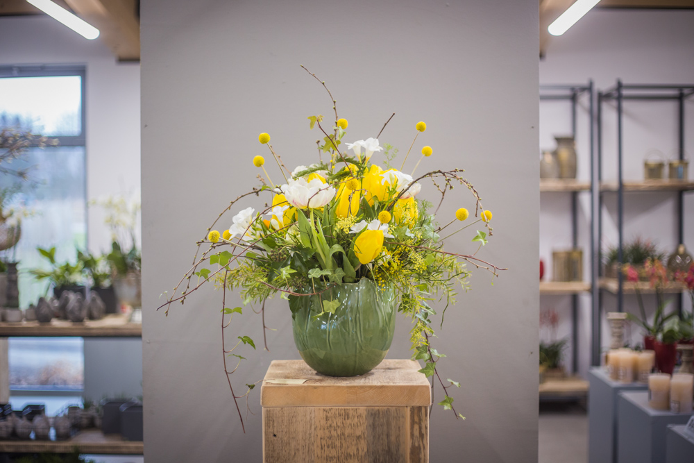 Dörrenbächer pflanzen & gestalten Facebook ad: Frühling, Blumen, schöne Dinge