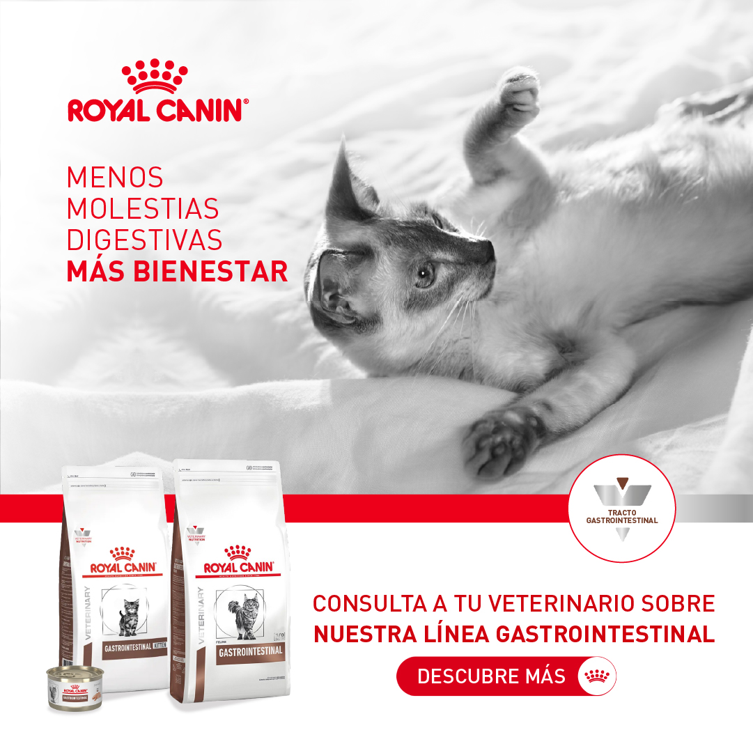 Royal Canin Colombia Facebook ad: Digestión saludable