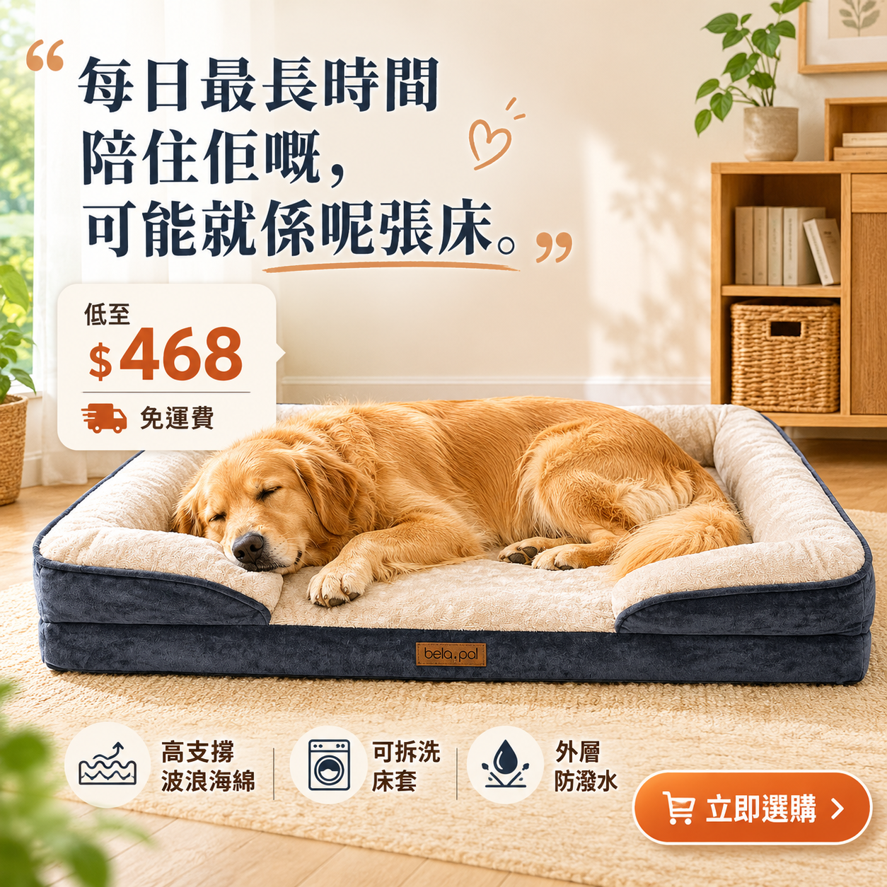 PatPat Pets Facebook ad
