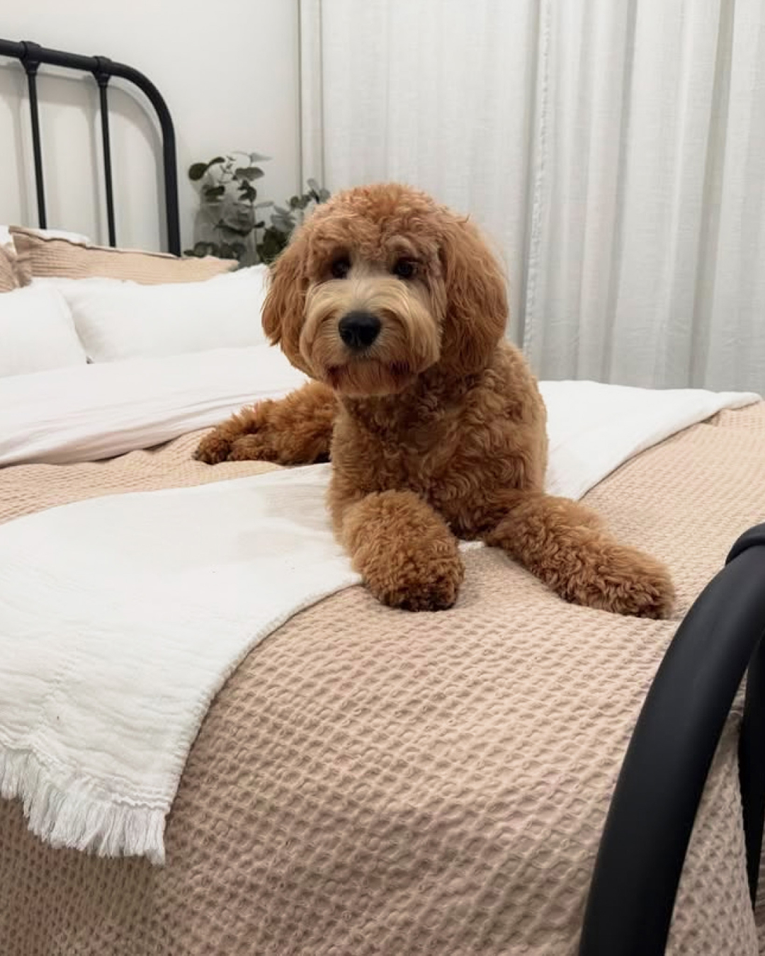 Bedsure Home Facebook ad