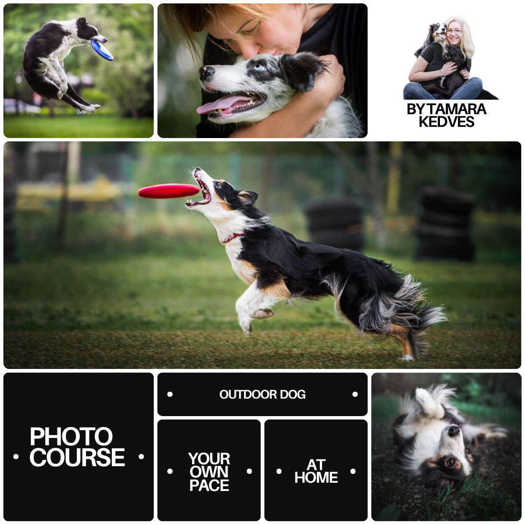 Expert Photography Facebook ad