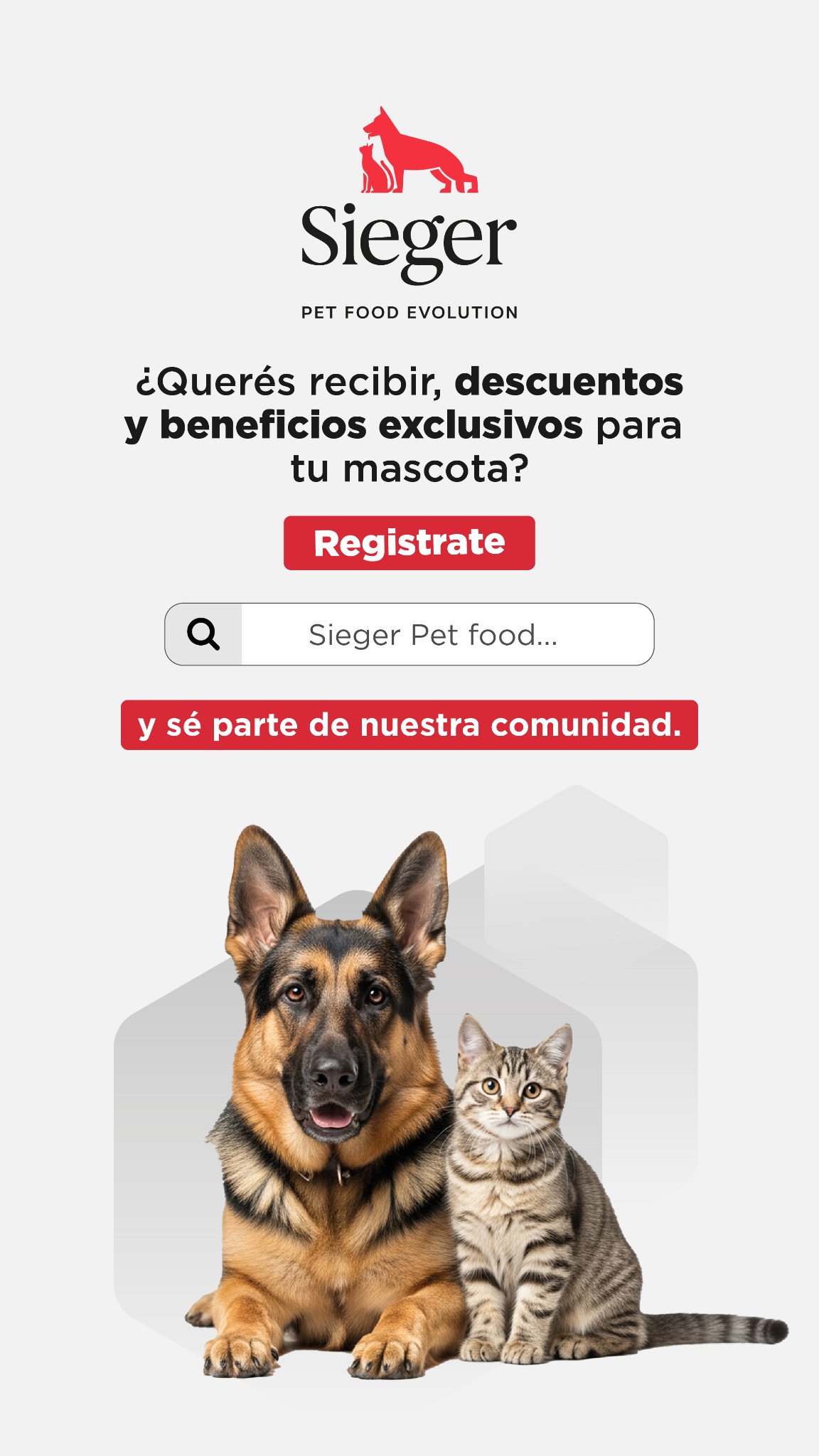 Sieger Facebook ad