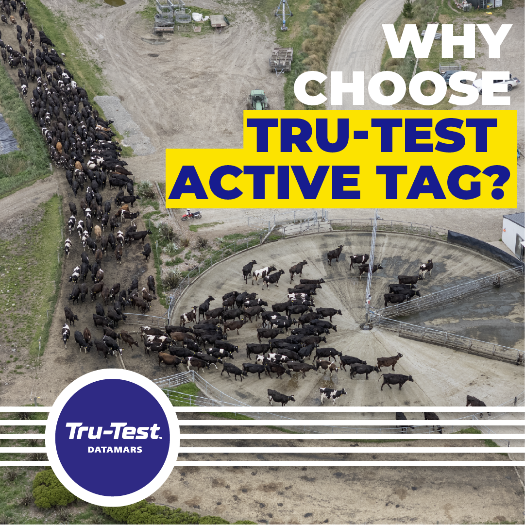 Datamars Livestock NZ Facebook ad: Backed by data, designed for real farm life.