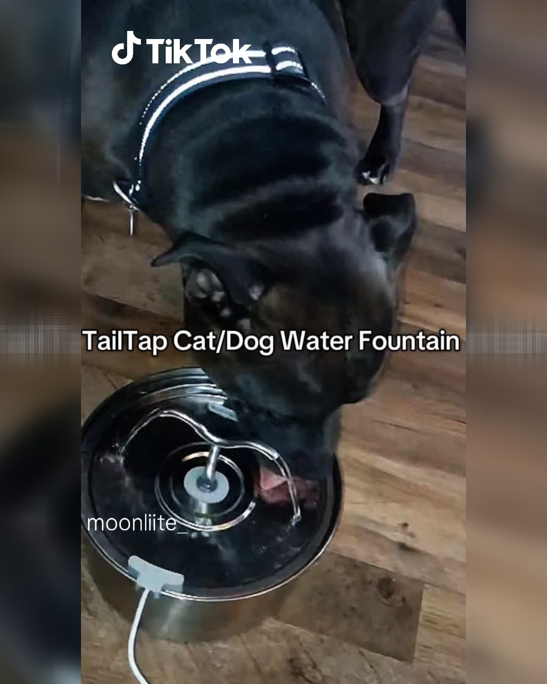 TikTok - US Facebook ad