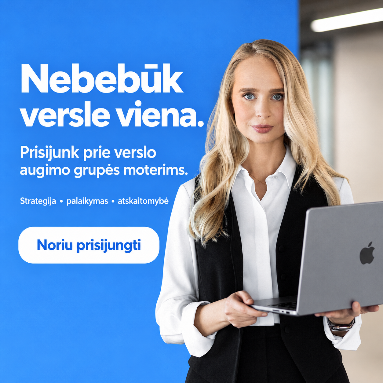 Verslo sparnai Facebook ad: LIKO 3 VIETOS