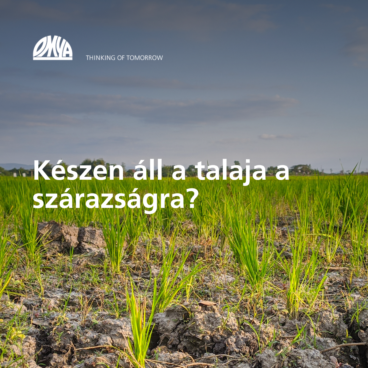 Omya agriculture Facebook ad: A szárazság a talajban kezdődik.