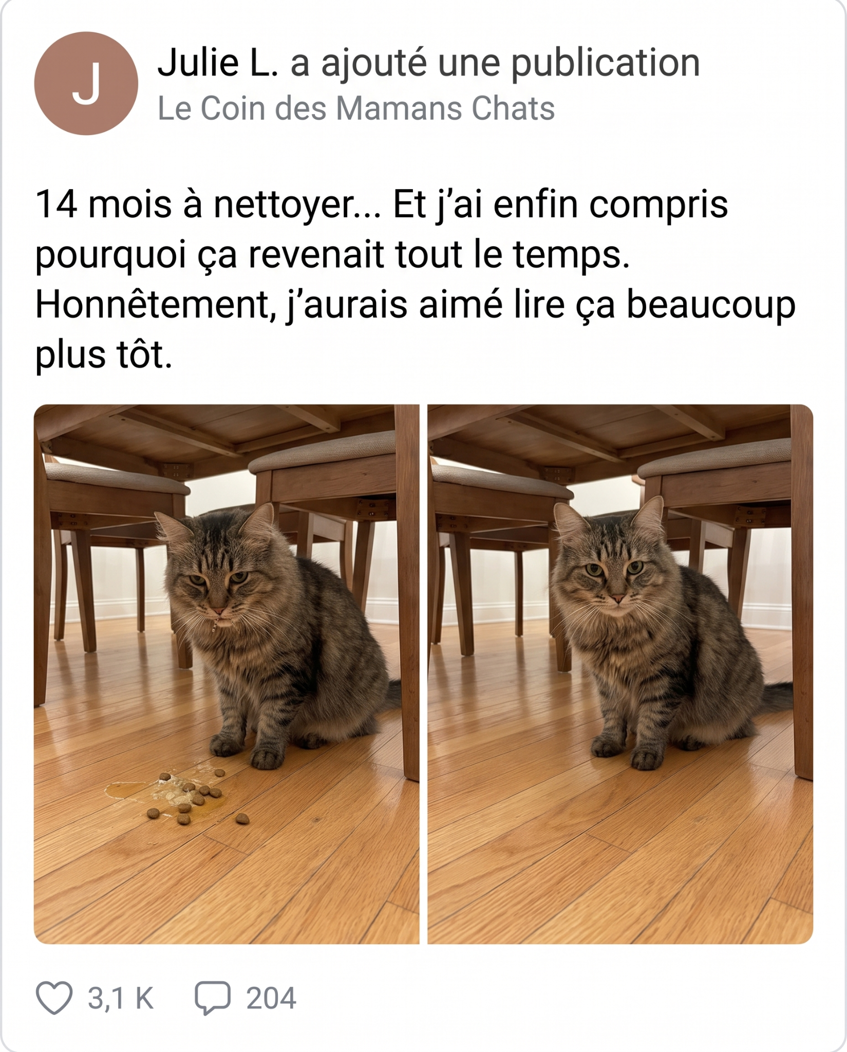 Sophie Martin Facebook ad