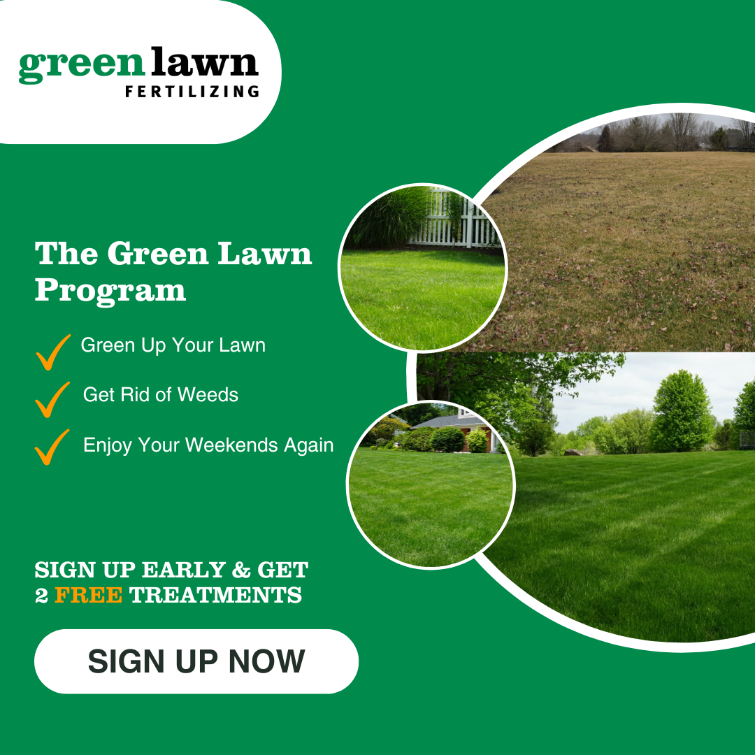 Green Lawn Fertilizing Facebook ad
