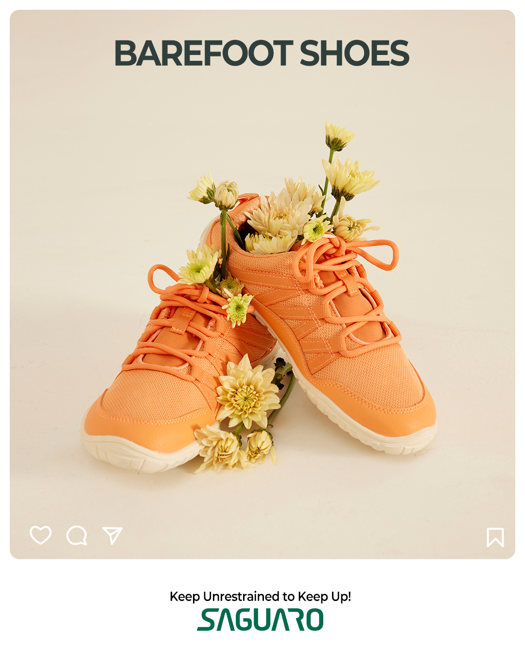 Saguaro US Facebook ad