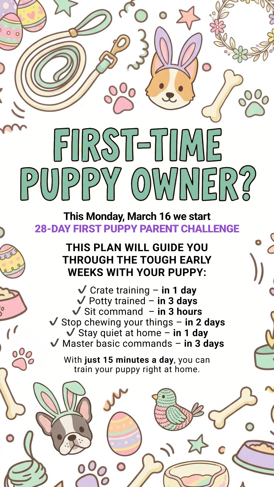 Woofz - Puppy Training Facebook ad