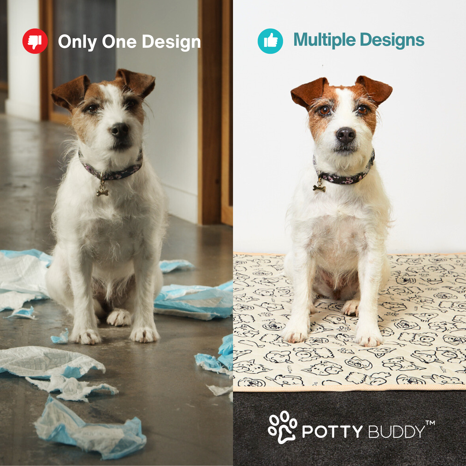 Potty Buddy Facebook ad