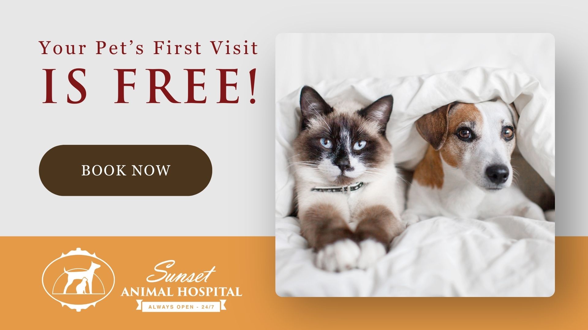 Sunset Animal Hospital Facebook ad