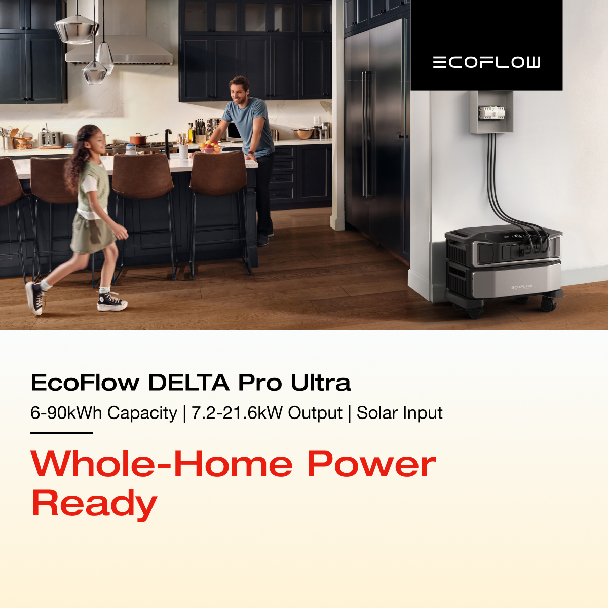 EcoFlow Facebook ad