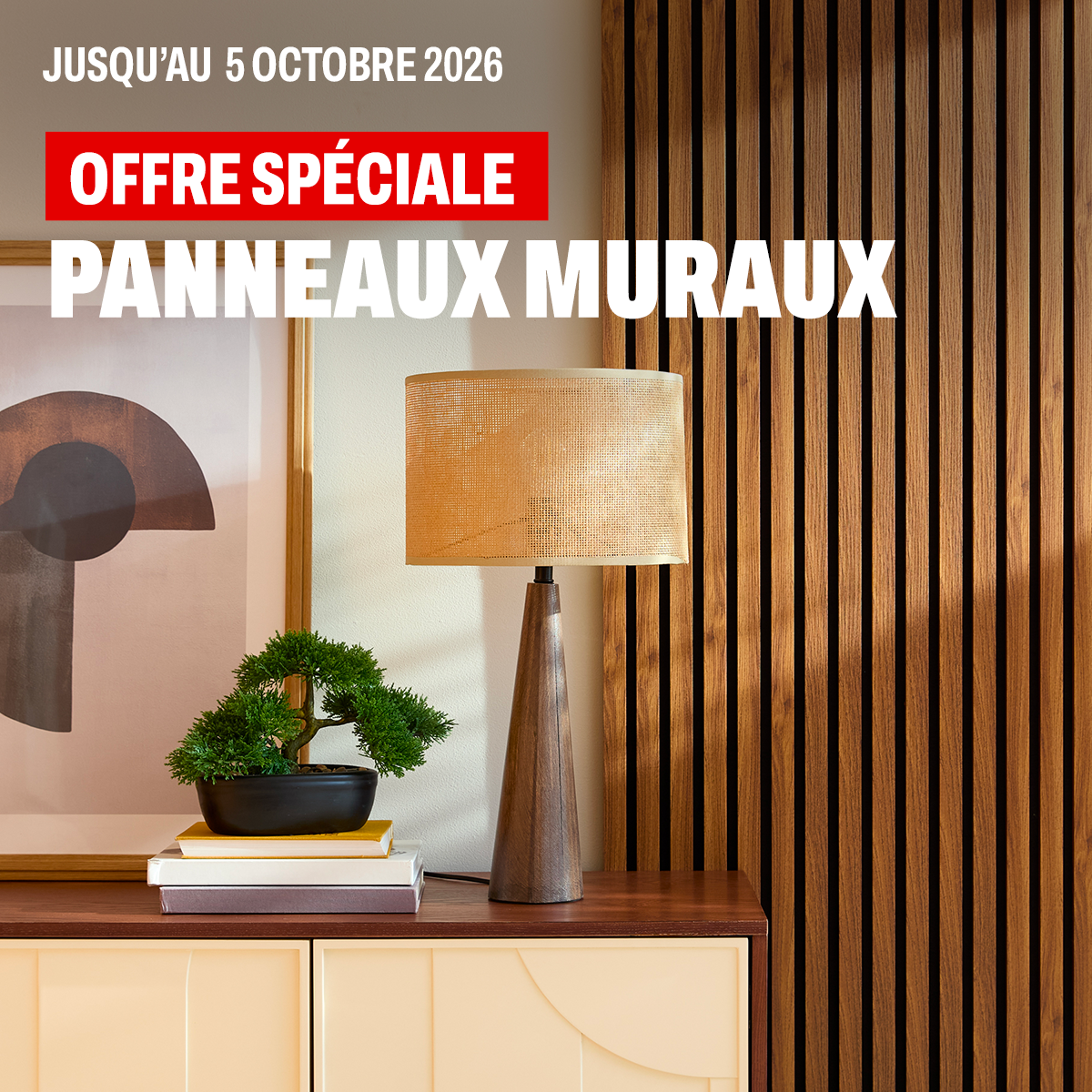 BUT Facebook ad: Offre spéciale sur les panneaux muraux