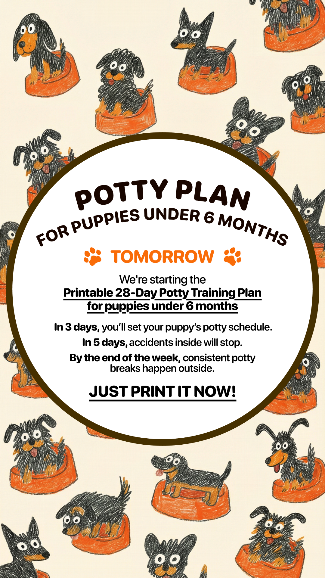 Woofz - Puppy Training Facebook ad