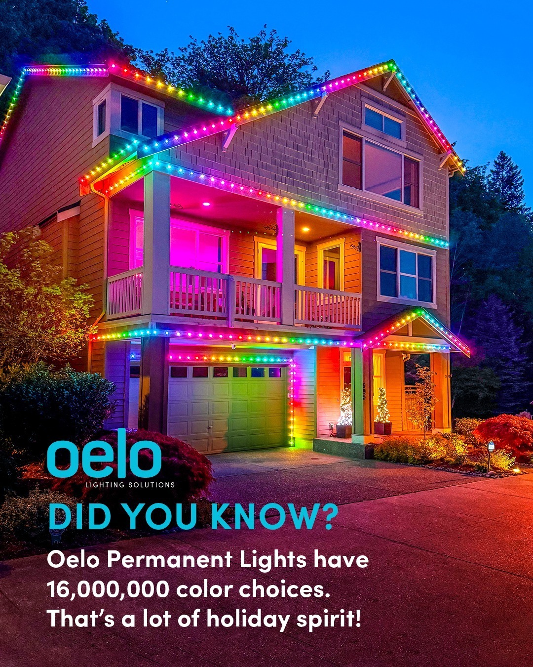 Oelo Facebook ad