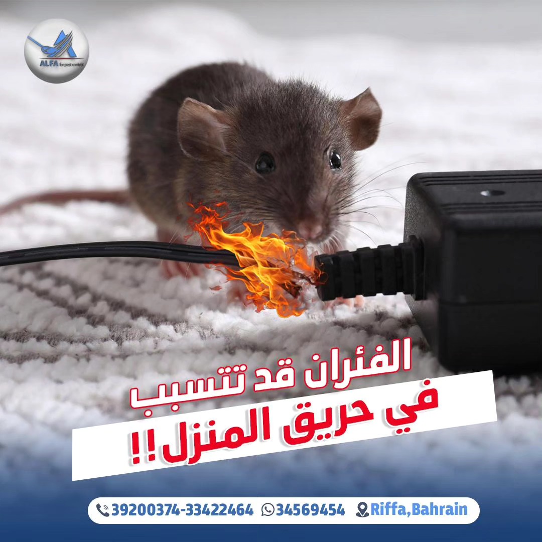 alfa_bahrain Facebook ad: مع ألفا الفئران راح تغادر منزلك بلا رجعة