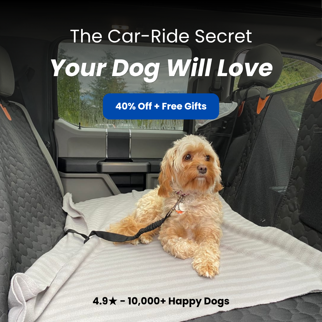 AutoPaws Facebook ad